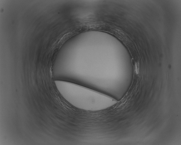 X0000071821155200606301003