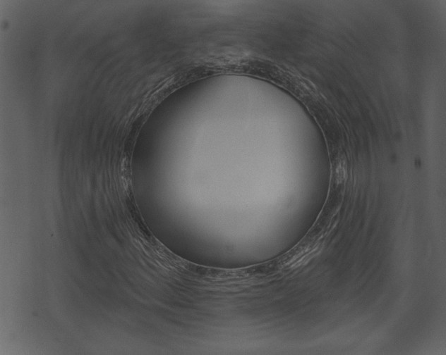 X0000071821156200606301003