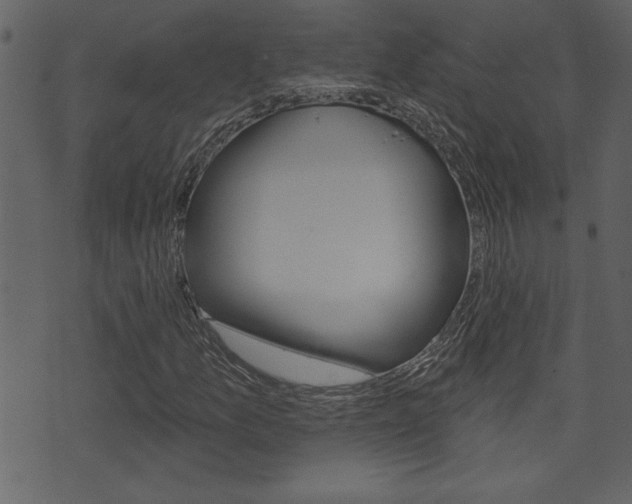 X0000071821157200606301003