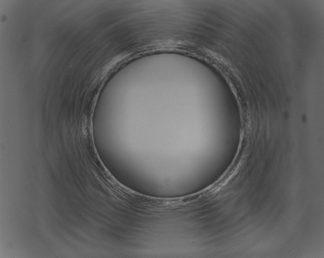 X0000071821161200606301003