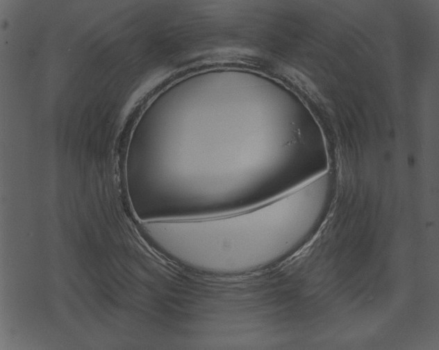 X0000071821164200606301003
