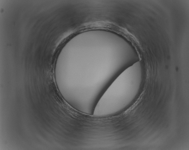 X0000071821166200606301003
