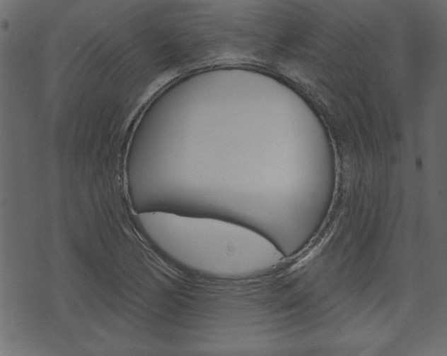 X0000071821170200606301003