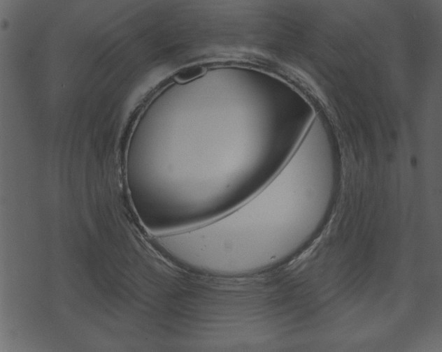 X0000071821172200606301003