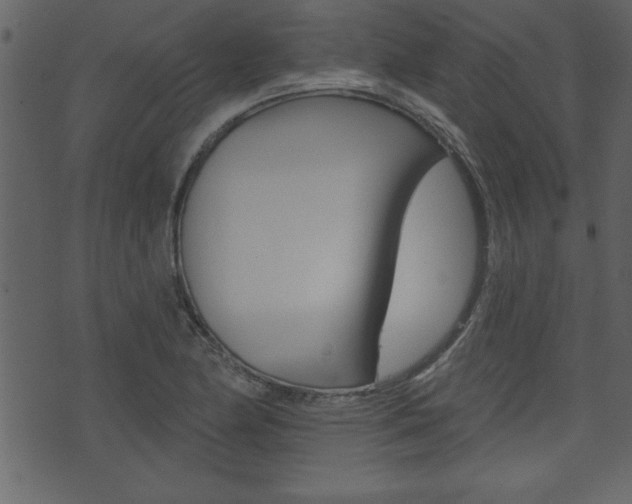 X0000071821174200606301003