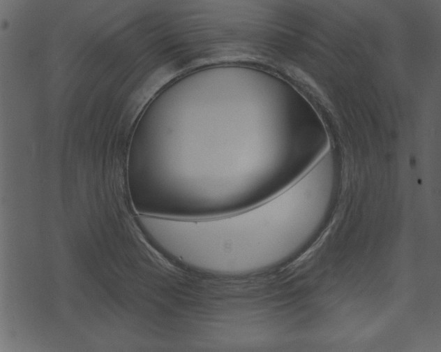 X0000071821177200606301003