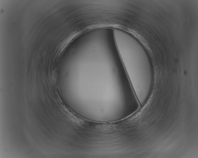 X0000071821185200606301003