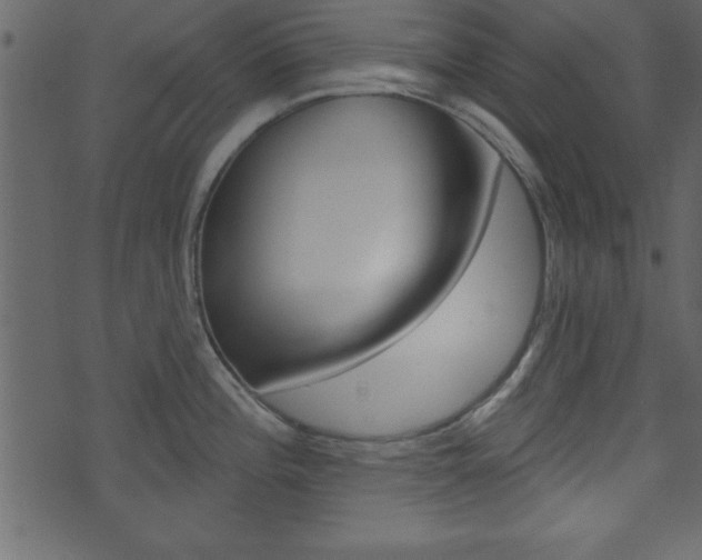 X0000071821196200606301003