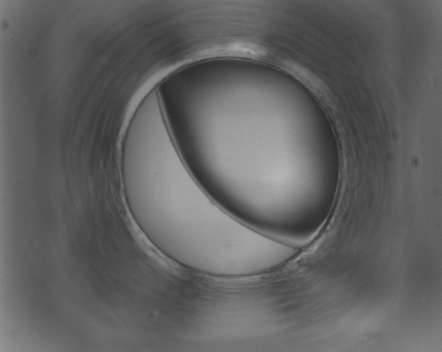 X0000071821200200606301003