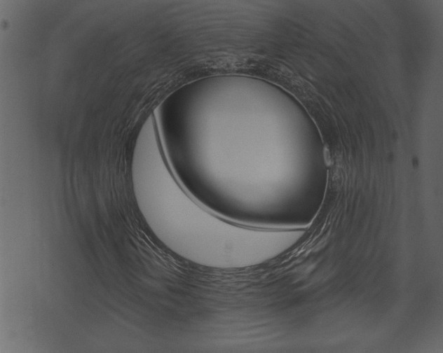 X0000071821202200606301002