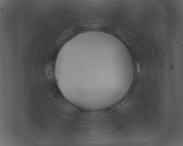 X0000071821203200606301002