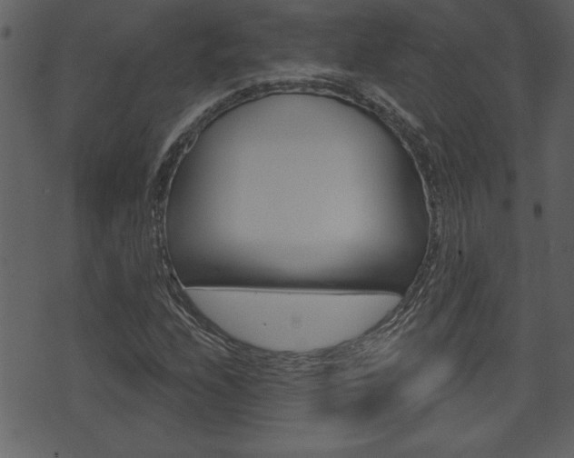 X0000071821208200606301002