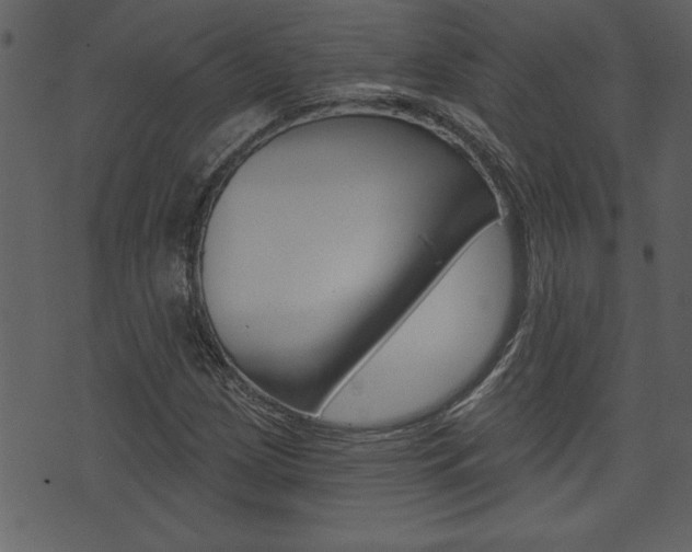 X0000071821209200606301002