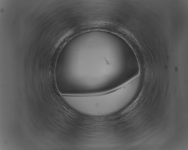 X0000071821210200606301002