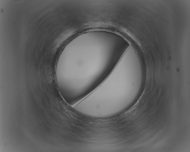 X0000071821213200606301002