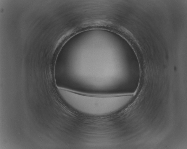 X0000071821218200606301002