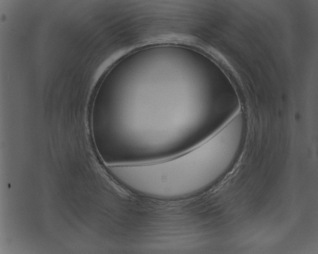 X0000071821230200606301002