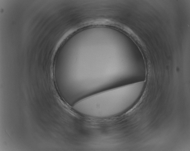 X0000071821232200606301002