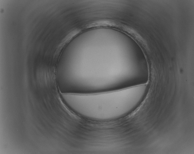 X0000071821233200606301002