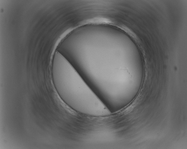 X0000071821248200606301003
