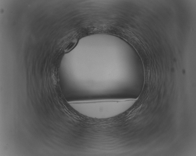 X0000071821250200606301002