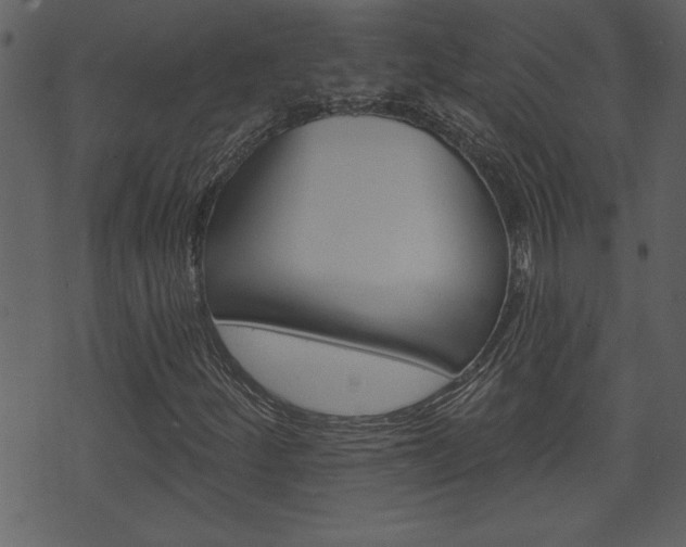 X0000071821252200606301002