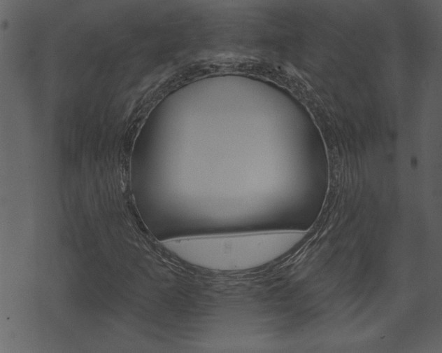 X0000071821253200606301002