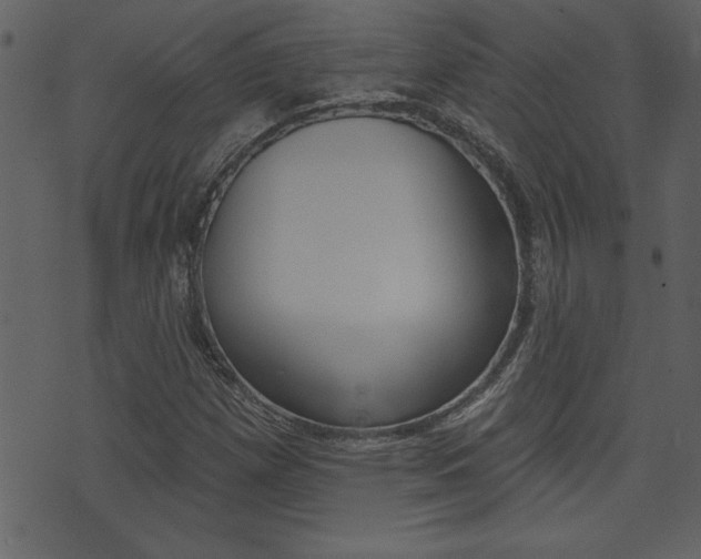 X0000071821257200606301002