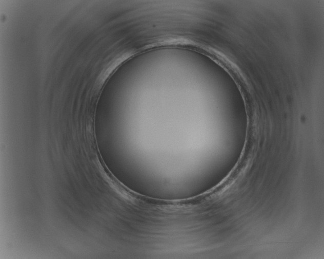 X0000071821281200606301001
