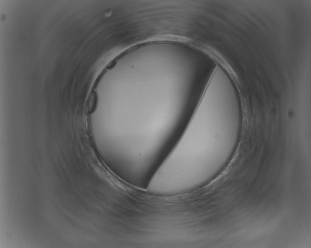 X0000071821292200606301001