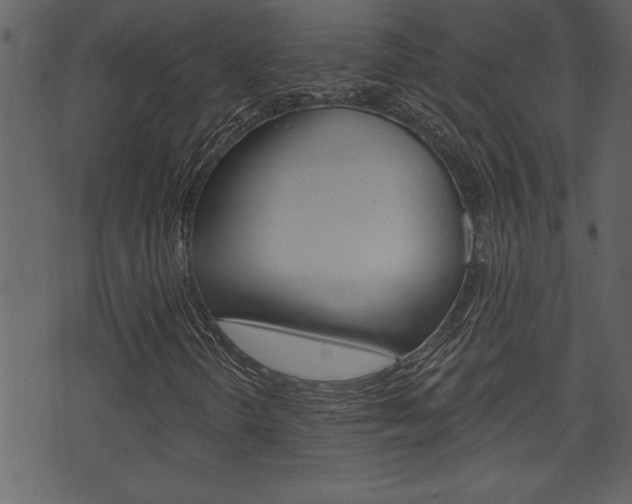 X0000071821298200606301000