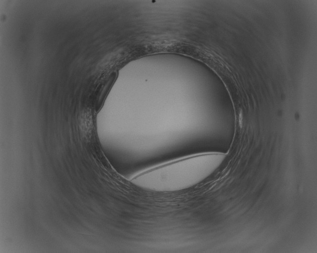 X0000071821299200606301000