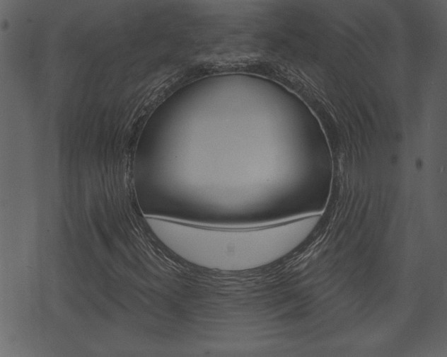 X0000071821300200606301000
