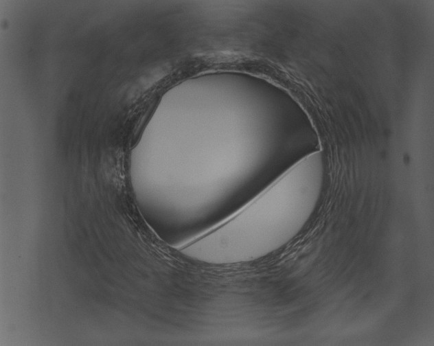 X0000071821301200606301000