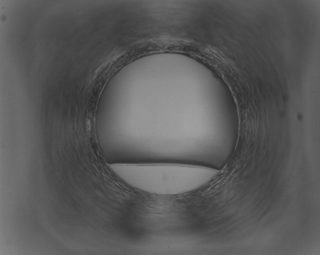 X0000071821302200606301000