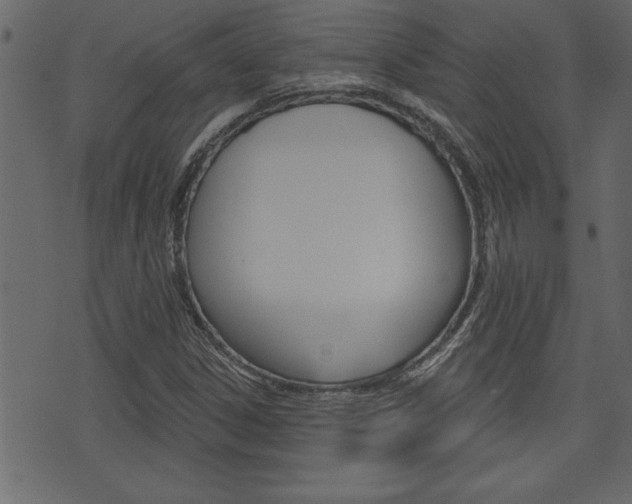 X0000071821306200606301000