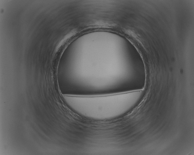 X0000071821307200606301000