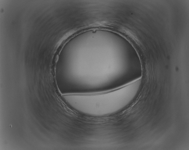 X0000071821308200606301000