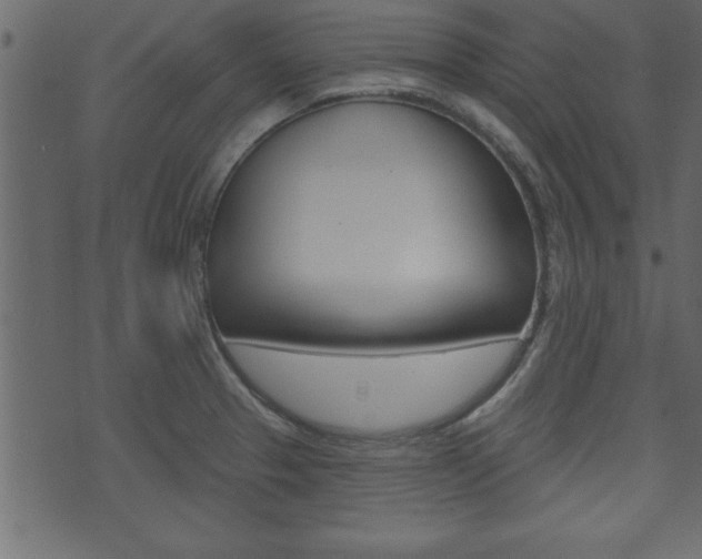 X0000071821329200606301001