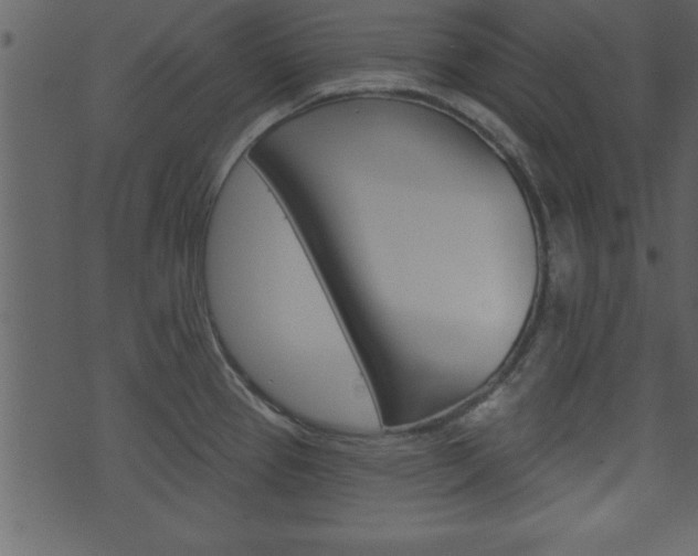X0000071821337200606301001