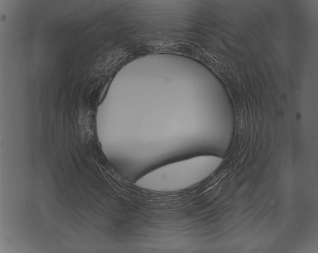 X0000071821346200606301000