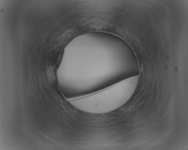 X0000071821347200606301000