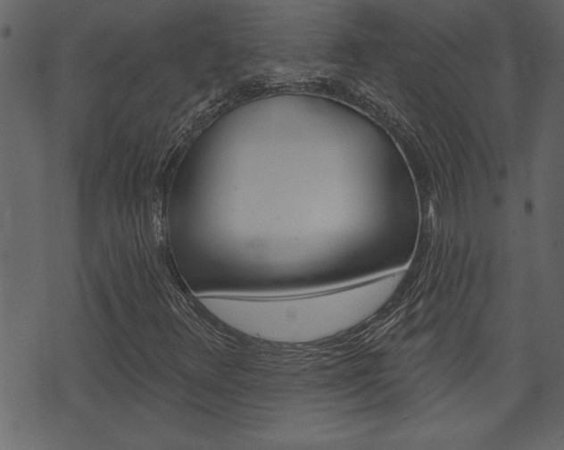X0000071821348200606301000