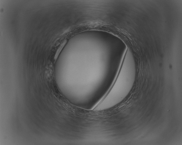 X0000071821349200606301000