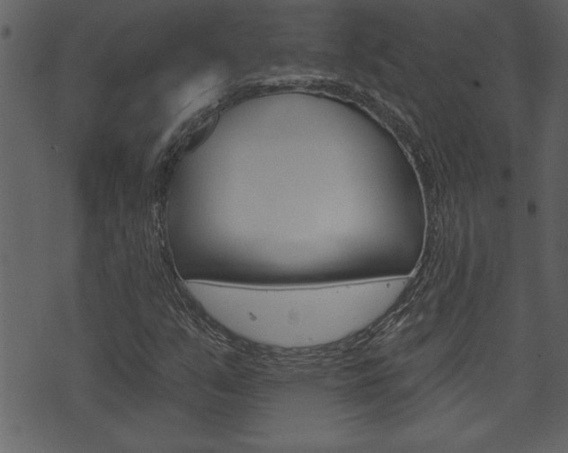 X0000071821351200606301000