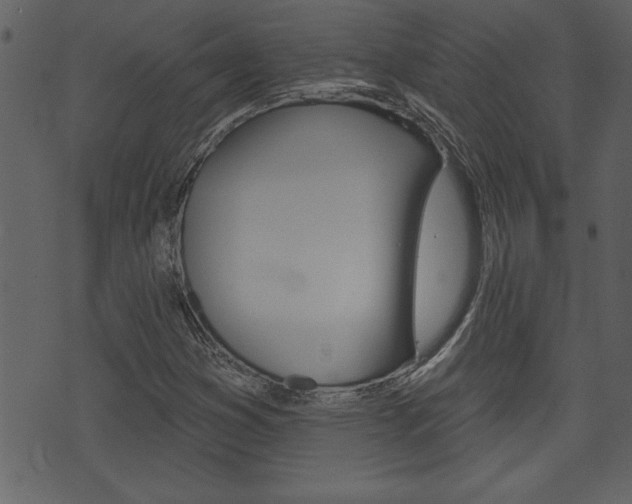 X0000071821353200606301000