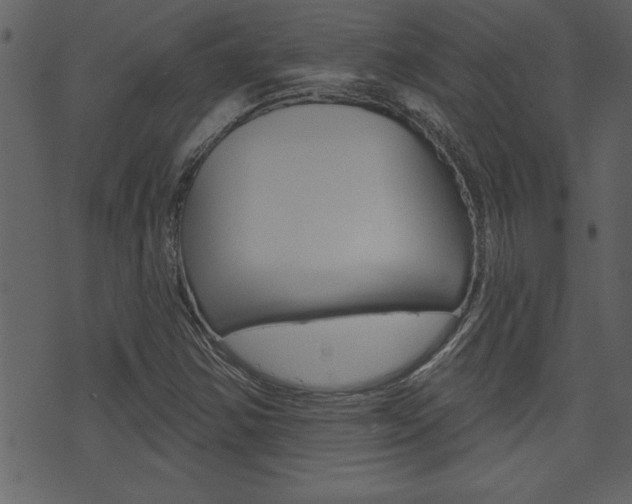 X0000071821354200606301000