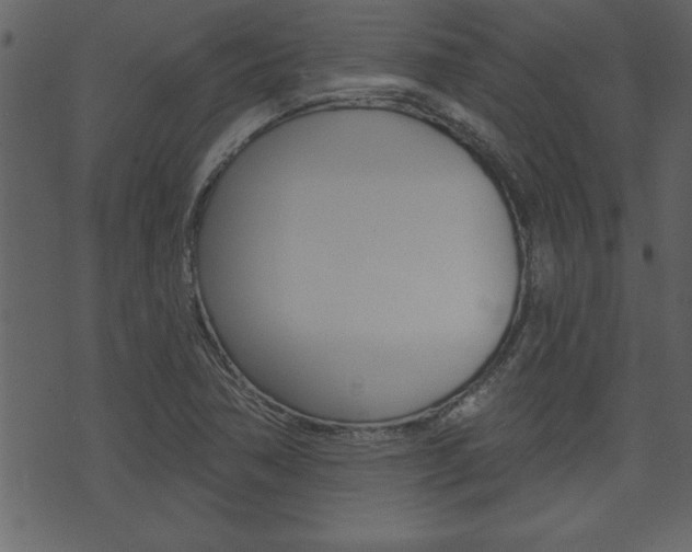 X0000071821362200606301000