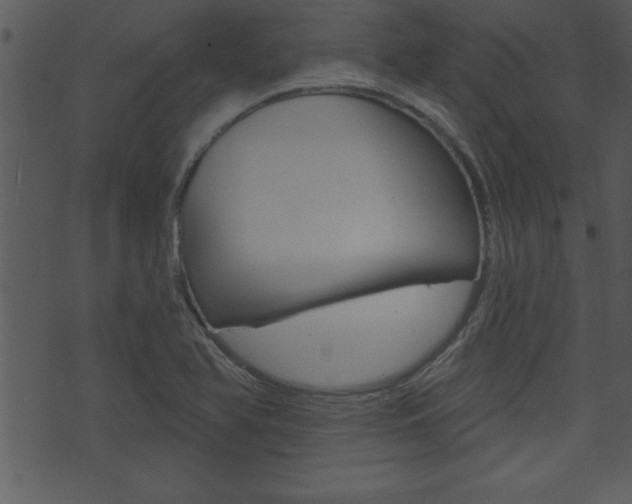 X0000071821366200606301000