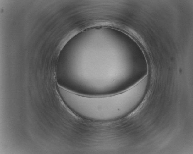 X0000071821377200606301000